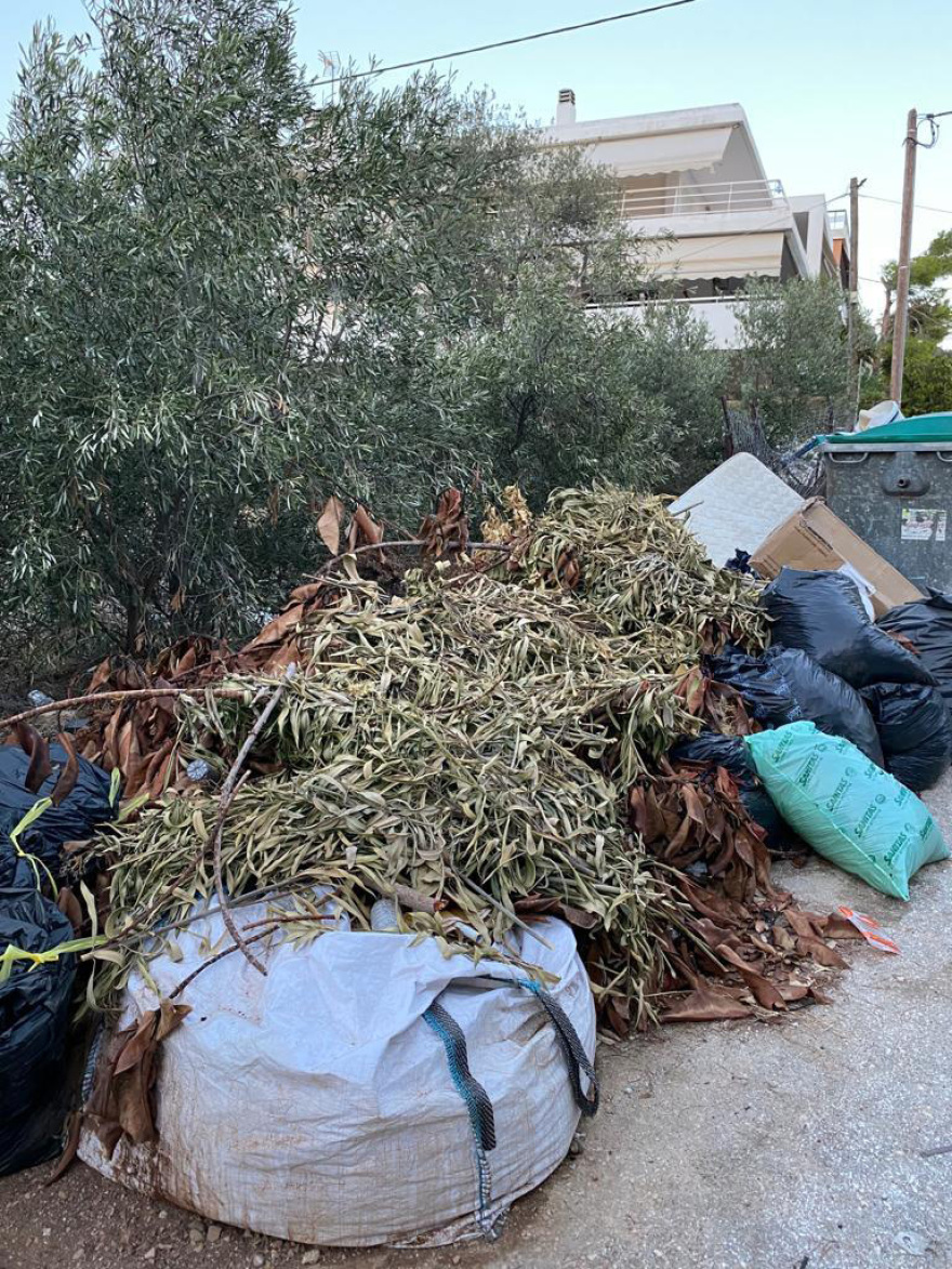 Σαρωνίδα: «Βουνά» από σκουπίδια 20 ημέρες μετά τη μεγάλη φωτιά - Δείτε φωτογραφίες