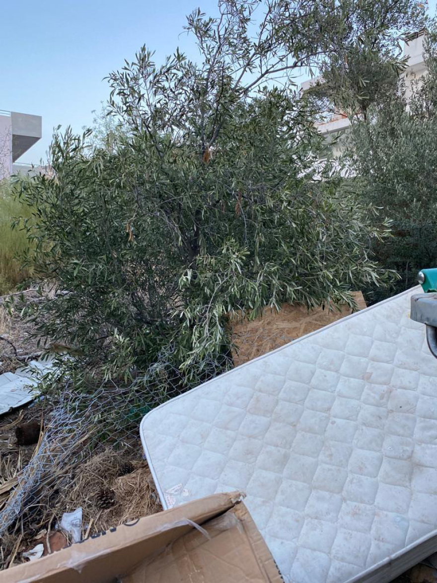 Σαρωνίδα: «Βουνά» από σκουπίδια 20 ημέρες μετά τη μεγάλη φωτιά - Δείτε φωτογραφίες