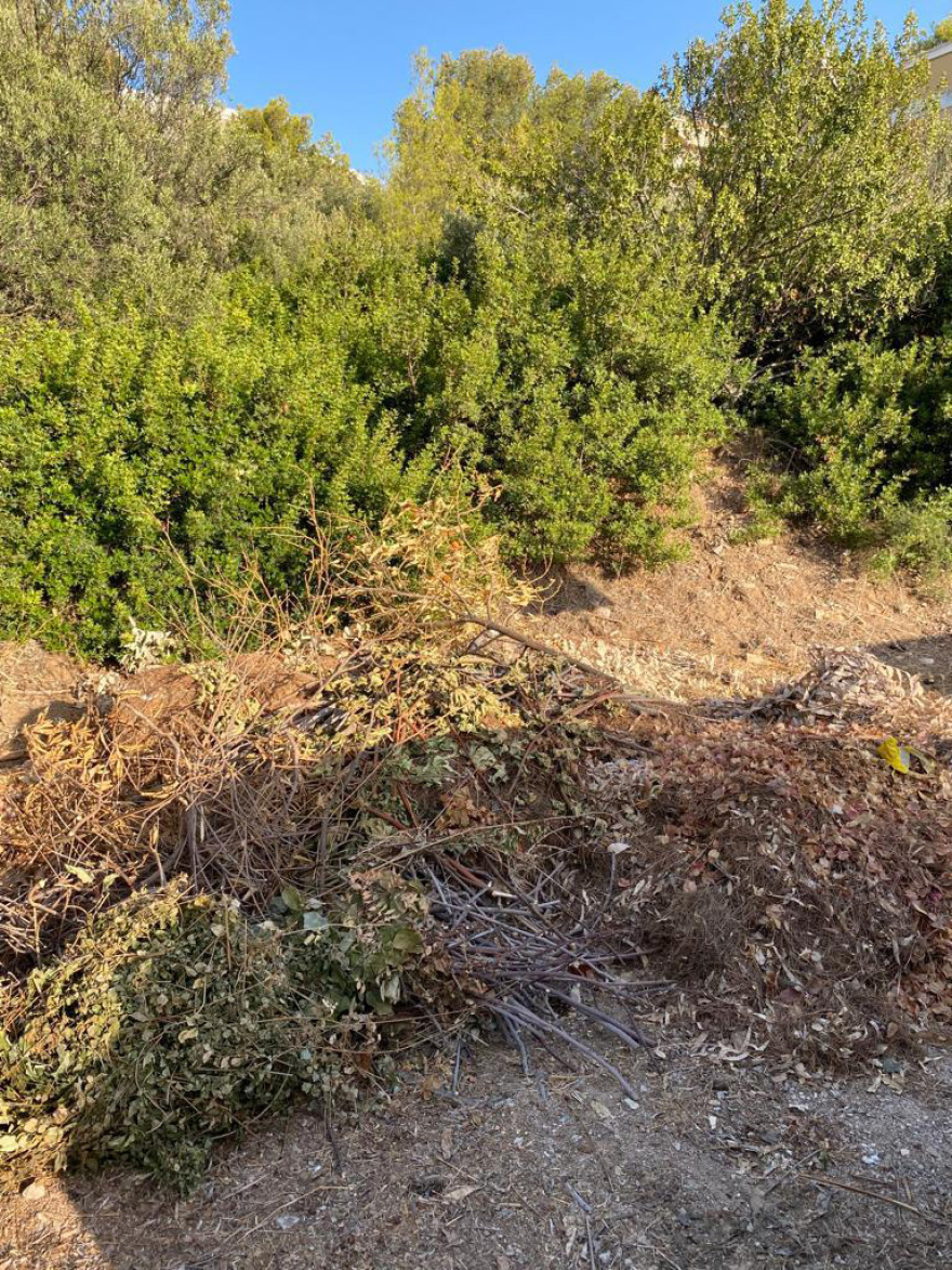 Σαρωνίδα: «Βουνά» από σκουπίδια 20 ημέρες μετά τη μεγάλη φωτιά - Δείτε φωτογραφίες