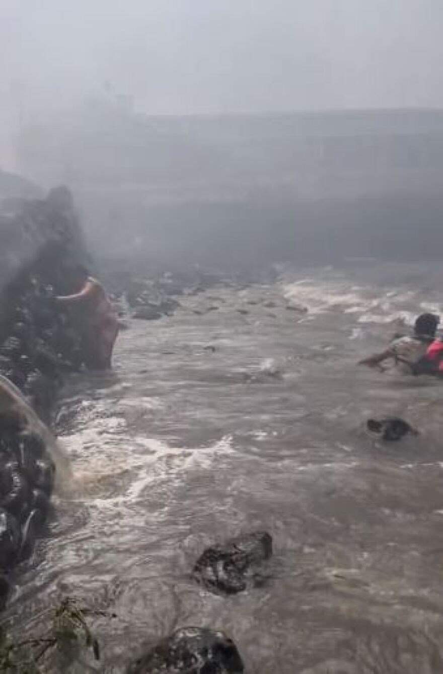 Χαβάη - Βίντεο: Έπεφταν στη θάλασσα για να μην καούν - «Καζάνι που βράζει» ο Ειρηνικός από τις φωτιές στη Χαβάη