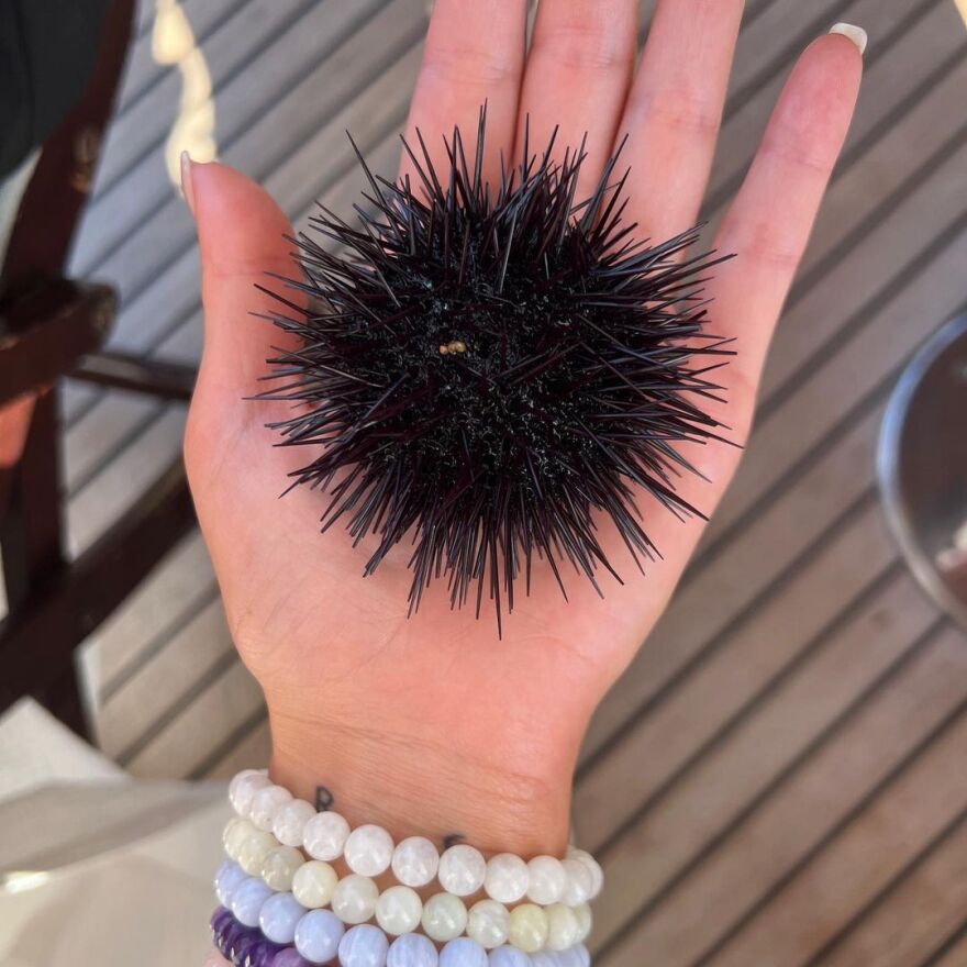 Ντούα Λίπα: Ξανά στην Ελλάδα η τραγουδίστρια - Στην Πελοπόννησο με τον Ρομέν Γαβράς  