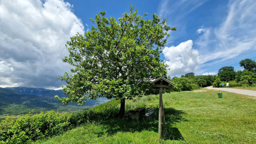 Η δράση του Δημοκρατικού Στρατού Ελλάδας (ΔΣΕ) στο Πωγώνι Ιωαννίνων το 1947 και η στρατολογία νέων από τα χωριά της περιοχής