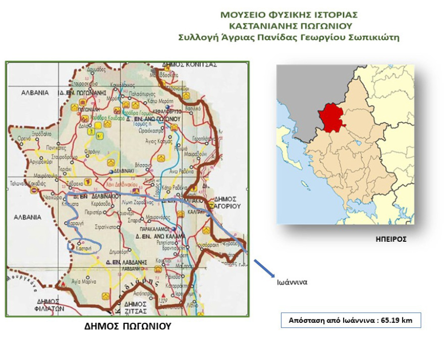 Η δράση του Δημοκρατικού Στρατού Ελλάδας (ΔΣΕ) στο Πωγώνι Ιωαννίνων το 1947 και η στρατολογία νέων από τα χωριά της περιοχής