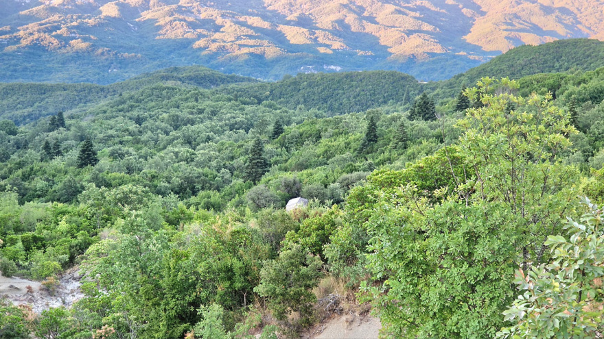 Η δράση του Δημοκρατικού Στρατού Ελλάδας (ΔΣΕ) στο Πωγώνι Ιωαννίνων το 1947 και η στρατολογία νέων από τα χωριά της περιοχής