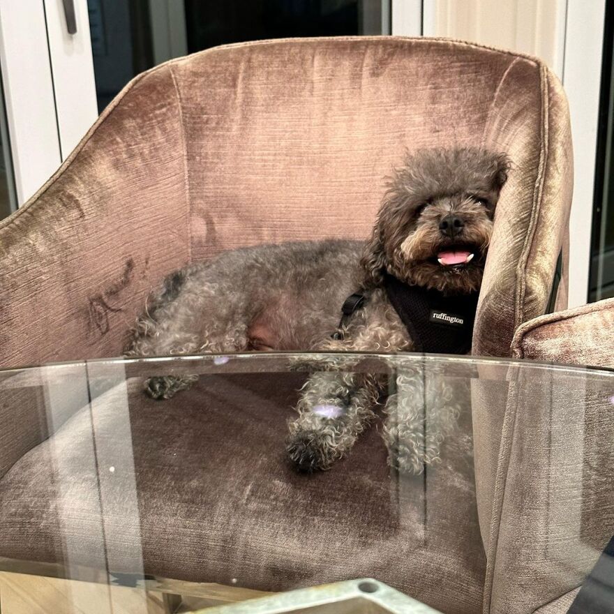 Μαρία Μενούνος: Η νέα της καθημερινότητα ως μητέρα - Δείτε φωτογραφίες