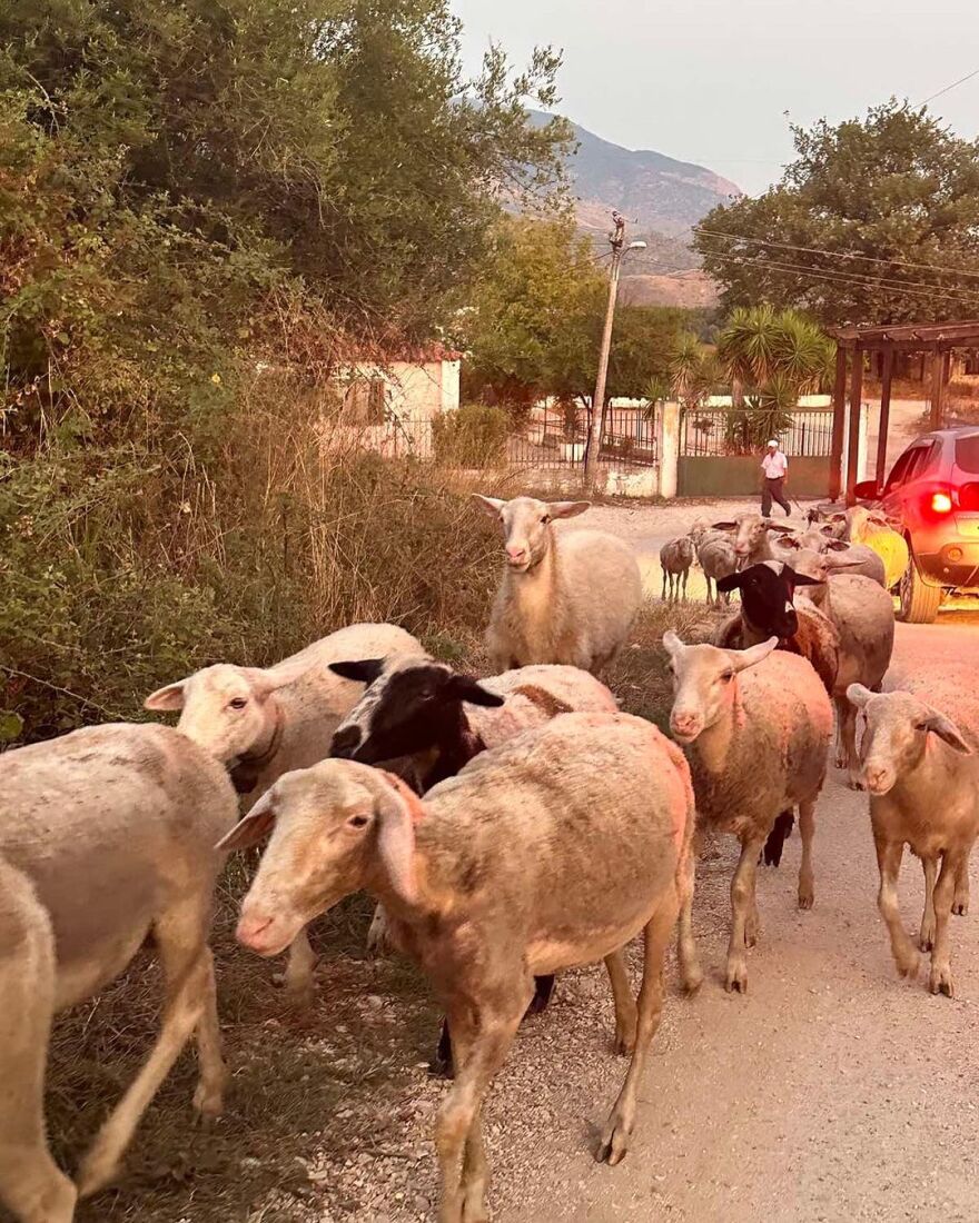 Θάλεια Ματίκα - Τάσος Ιορδανίδης: Στην Αλβανία για τις καλοκαιρινές τους διακοπές
