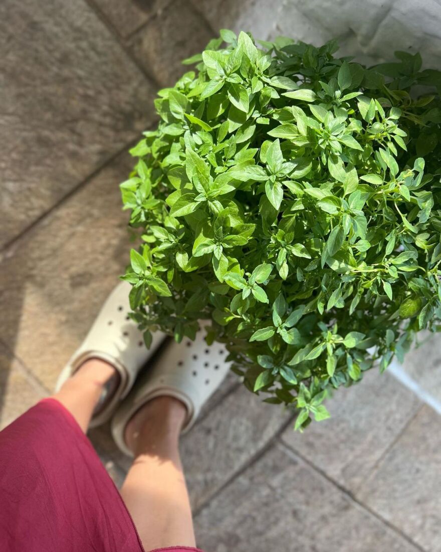 Κώστας Σόμμερ – Βαλεντίνη Παπαδάκη: Απολαμβάνουν το καλοκαίρι με τα δύο παιδιά τους 