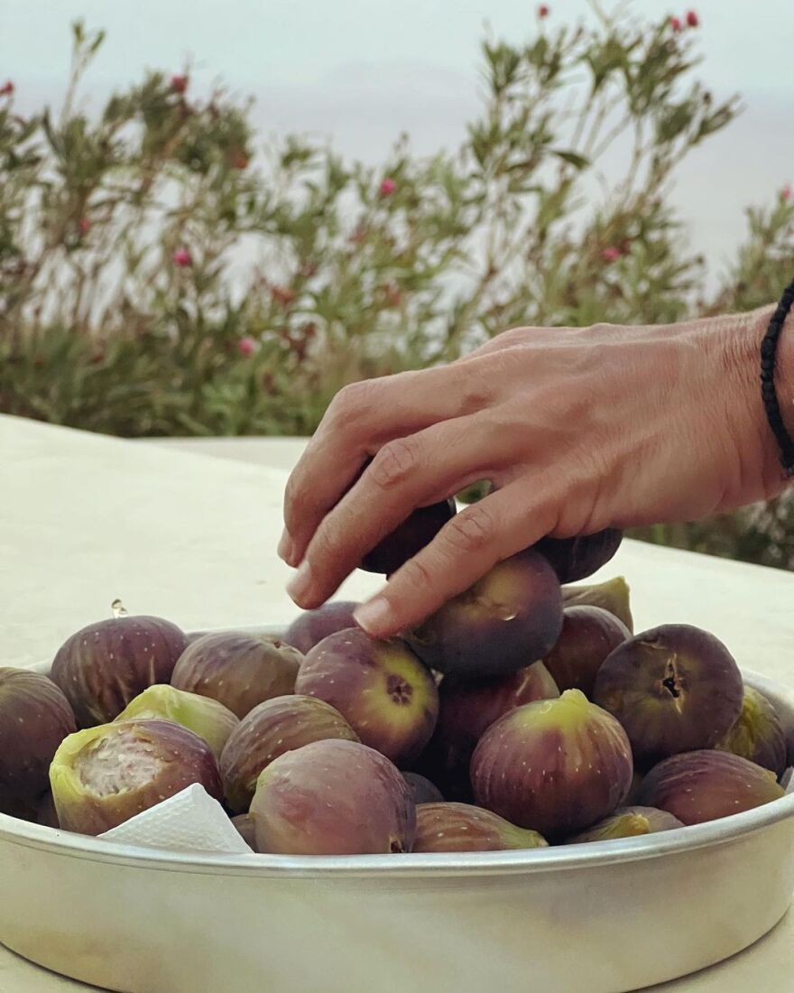 Ζέτα Μακρυπούλια: Μαζεύει σύκα στις καλοκαιρινές της διακοπές