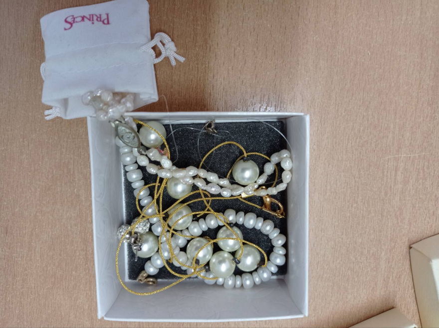 Με BMW και χρυσά Rolex κυκλοφορούσαν Βούλγαροι που παρίσταναν τους αστυνομικούς - Δείτε φωτογραφίες 