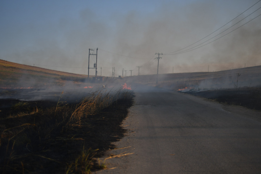 Φωτιά στον Δοξαρά Λάρισας - Δείτε φωτογραφίες