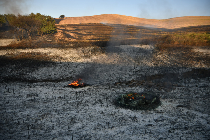 Φωτιά στον Δοξαρά Λάρισας - Δείτε φωτογραφίες