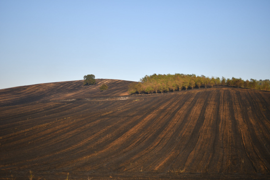Φωτιά στον Δοξαρά Λάρισας - Δείτε φωτογραφίες