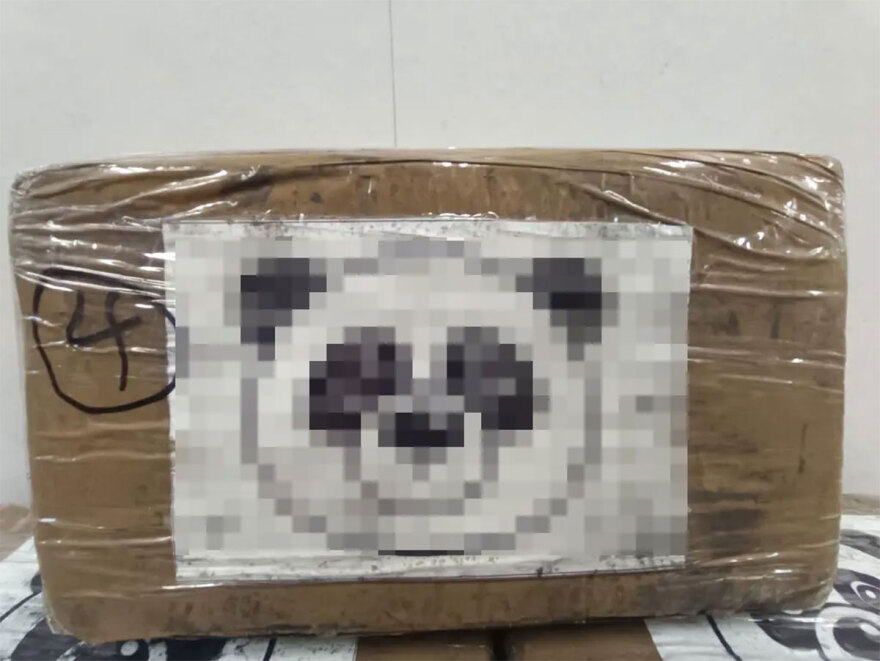 Βρήκαν 64 κιλά κοκαΐνης σε κοντέινερ με γαρίδες στον Πειραιά  - Δείτε σε βίντεο πώς τα εντόπισαν