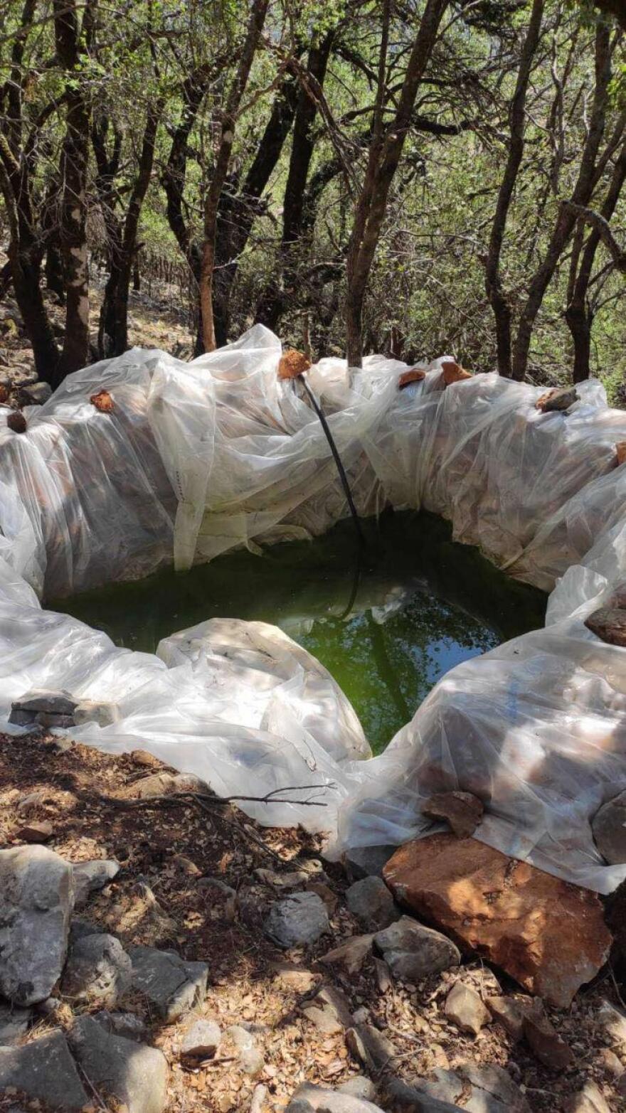 Σφακιά: «Ξερίζωσαν» φυτεία με πάνω από 500 χασισόδεντρα - Δείτε φωτογραφίες