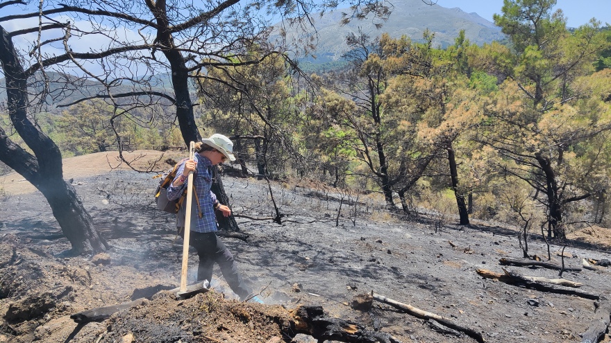 Ρόδος: Η περιβαλλοντική οργάνωση που κάνει αναδασώσεις έγινε πρωτοσέλιδο στη Le Monde