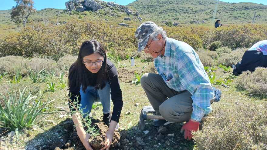 Ρόδος: Η περιβαλλοντική οργάνωση που κάνει αναδασώσεις έγινε πρωτοσέλιδο στη Le Monde