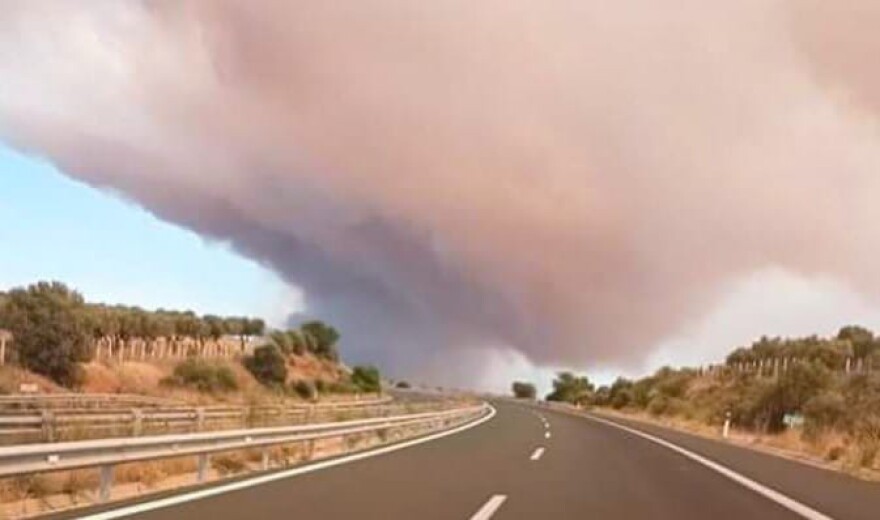 Φωτιά στην Αλεξανδρούπολη: Ανεξέλεγκτο το μέτωπο - Ενισχύθηκαν ξανά οι άνεμοι