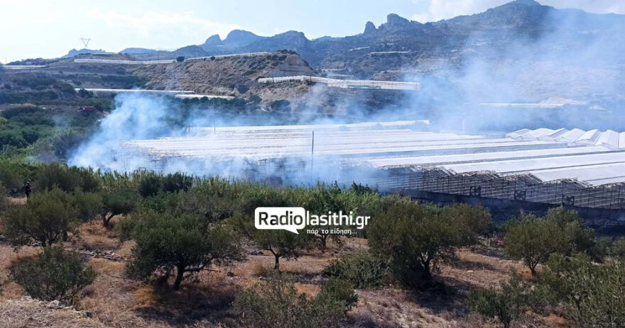 Λασίθι: Οριοθετημένη η φωτιά στην Ανατολή Ιεράπετρας – Κάηκαν θερμοκήπια