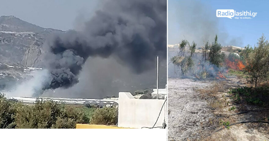 Λασίθι: Οριοθετημένη η φωτιά στην Ανατολή Ιεράπετρας – Κάηκαν θερμοκήπια