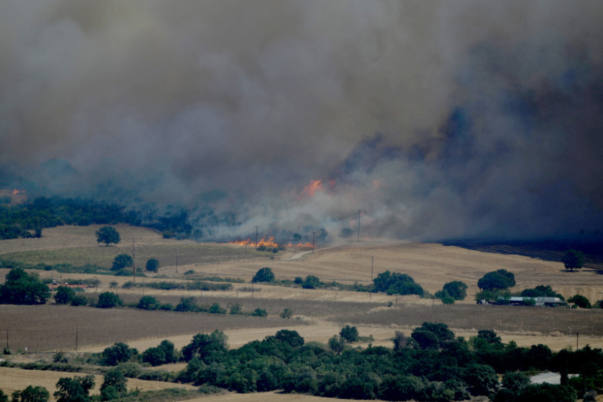 Φωτιά στην Αλεξανδρούπολη: Μάχη με τις φλόγες σε Νίψα, Δωρικό και Αμφιτρίτη - Δείτε βίντεο
