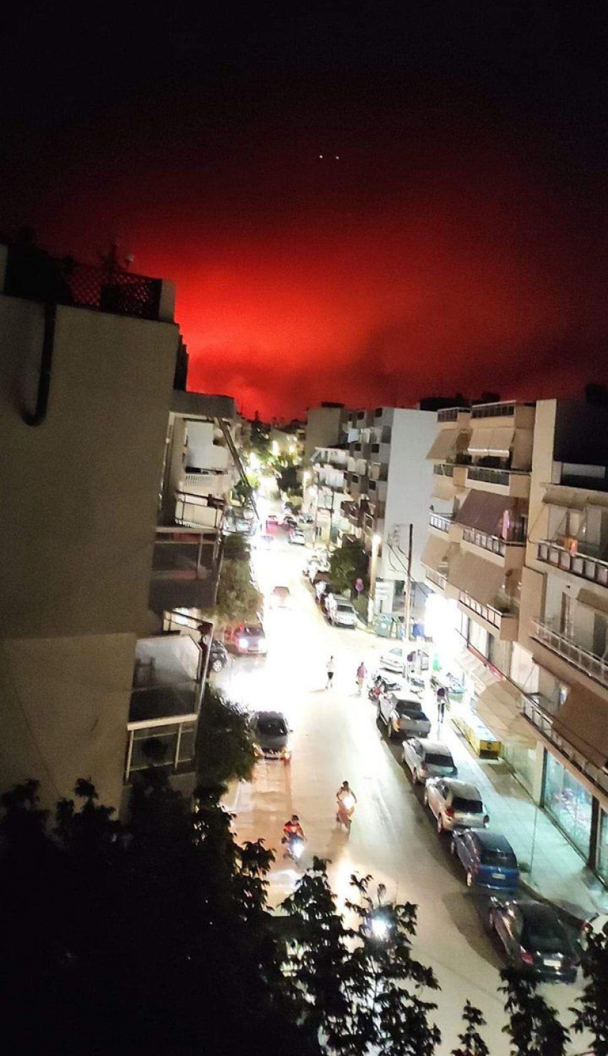 Φωτιά στον Έβρο: Εντοπίστηκαν 18 απανθρακωμένοι μετανάστες στο δάσος της Δαδιάς