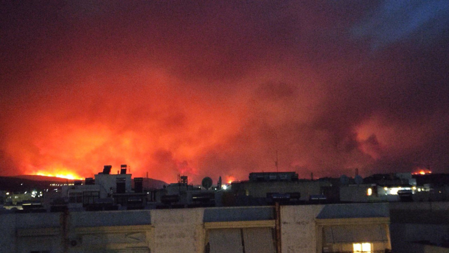 Φωτιά στον Έβρο: Εντοπίστηκαν 18 απανθρακωμένοι μετανάστες στο δάσος της Δαδιάς