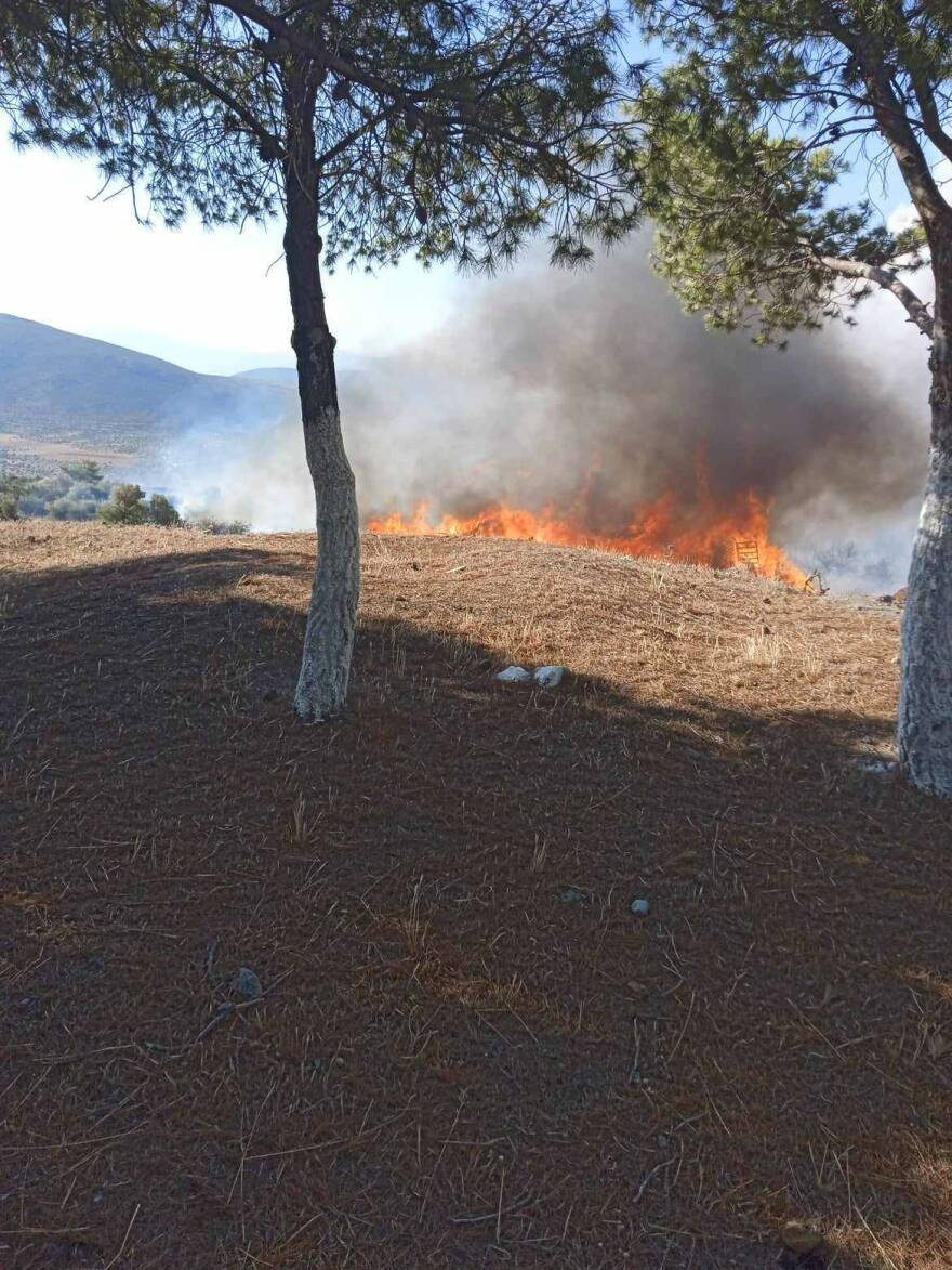Φωτιά στον Πρόδρομο Βοιωτίας: Με αλιευτικά σκάφη απομακρύνθηκαν 60 άτομα από την παραλία Σαράντη