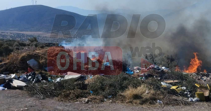 Φωτιά στον Πρόδρομο Βοιωτίας: Με αλιευτικά σκάφη απομακρύνθηκαν 60 άτομα από την παραλία Σαράντη