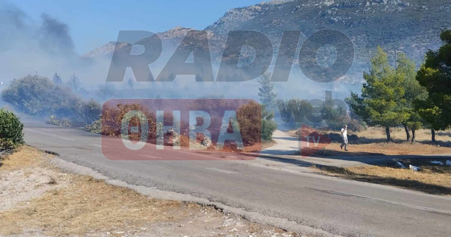 Φωτιά στον Πρόδρομο Βοιωτίας: Με αλιευτικά σκάφη απομακρύνθηκαν 60 άτομα από την παραλία Σαράντη