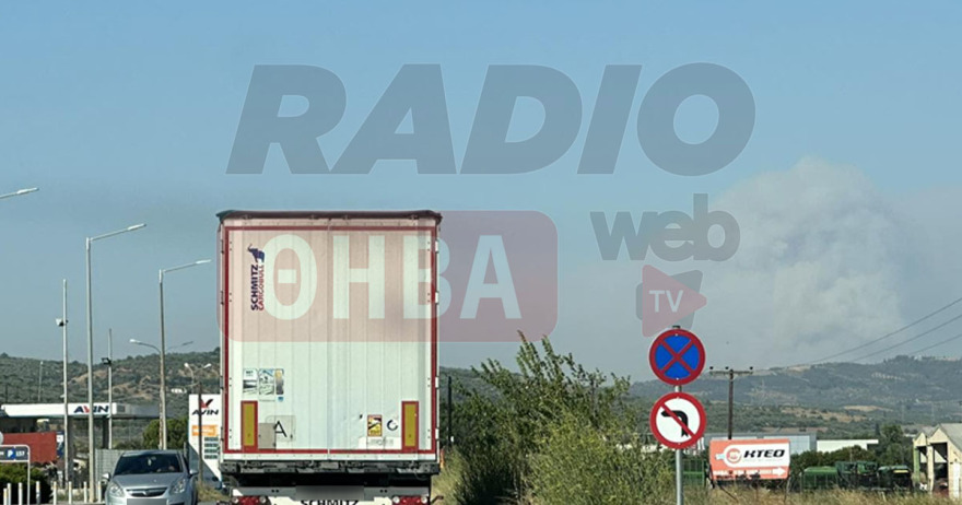 Φωτιά στον Πρόδρομο Βοιωτίας: Με αλιευτικά σκάφη απομακρύνθηκαν 60 άτομα από την παραλία Σαράντη