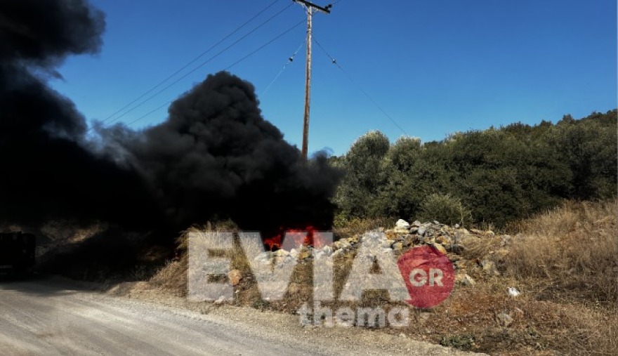 Εύβοια: Μεγάλο το μέτωπο της φωτιάς - «112» σε Νότια Ψαχνά και Βόρεια Αρτάκη για εκκένωση