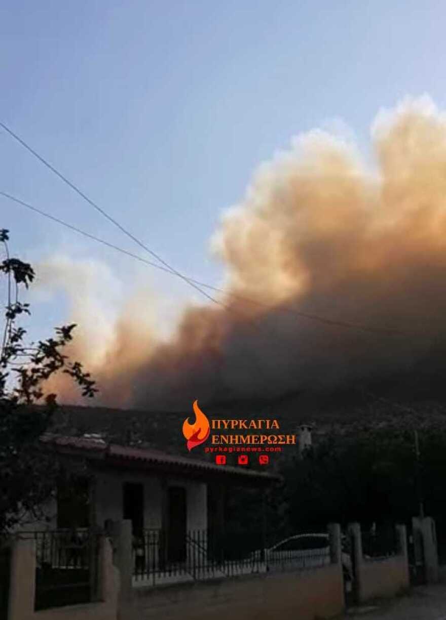 Φωτιά στον Πρόδρομο Βοιωτίας: Με αλιευτικά σκάφη απομακρύνθηκαν 60 άτομα από την παραλία Σαράντη