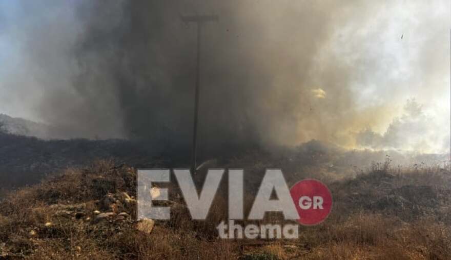 Εύβοια: Μεγάλο το μέτωπο της φωτιάς - «112» σε Νότια Ψαχνά και Βόρεια Αρτάκη για εκκένωση