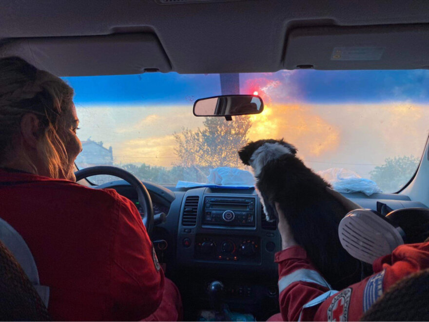 Φωτιά στην Αλεξανδρούπολη: Μάχη με τις αναζωπυρώσεις και τα μποφόρ - Ενισχύθηκαν τα εναέρια μέσα