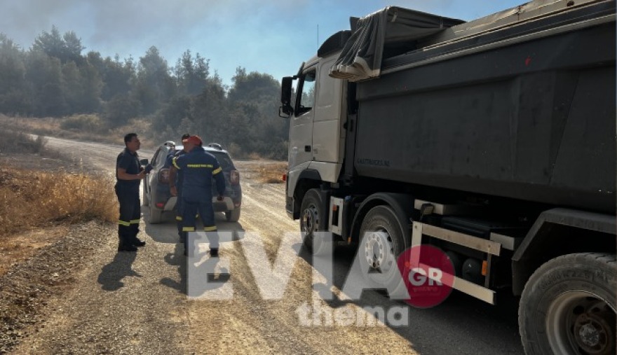 Εύβοια: Μεγάλο το μέτωπο της φωτιάς - «112» σε Νότια Ψαχνά και Βόρεια Αρτάκη για εκκένωση