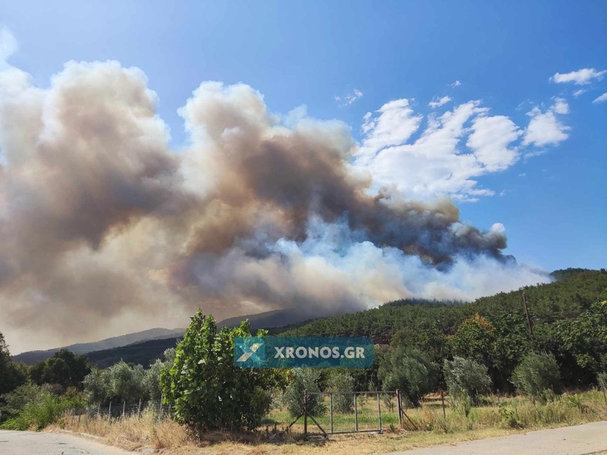 Φωτιά στη Ροδόπη: Σπίτια παραδόθηκαν στις φλόγες στον Σώστη - Εκκενώθηκαν έξι οικισμοί (βίντεο και φωτογραφίες)