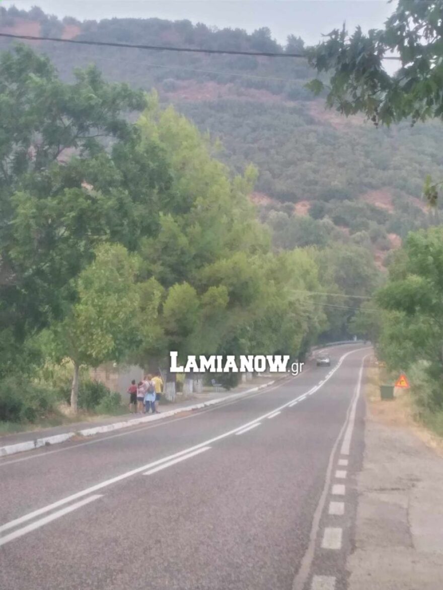 Φωτιά στη Μακρακώμη: 'Εκκληση για εναέρια μέσα κάνει ο πρόεδρος της τοπικής κοινότητας της Βίτωλης