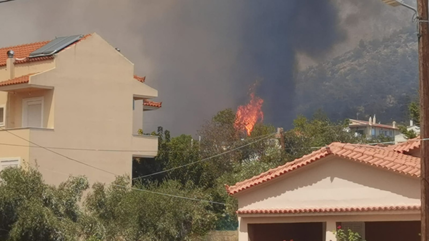 Φωτιά στη Φυλή: Μεγαλώνει το πύρινο μέτωπο - Νέο μήνυμα 112 για Άνω Λιόσια, Γεννηματά και Κανάλα