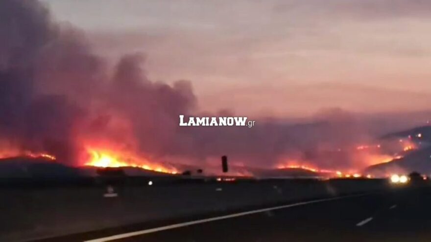 Φωτιές στη Βοιωτία: Μεγάλο μέτωπο πυρκαγιάς στη Θήβα, οι φλόγες φαίνονται από την Εθνική Οδό - Βίντεο και φωτογραφίες