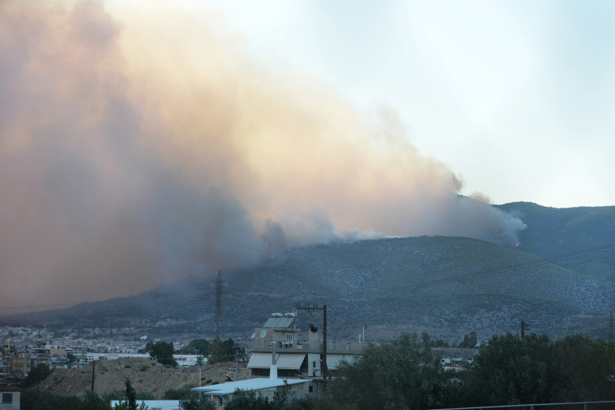 Πυρκαγιές: Ανεβαίνει προς την Πάρνηθα η φωτιά που ξέσπασε στη Φυλή - Κάηκαν σπίτια κι αυτοκίνητα στη Χασιά