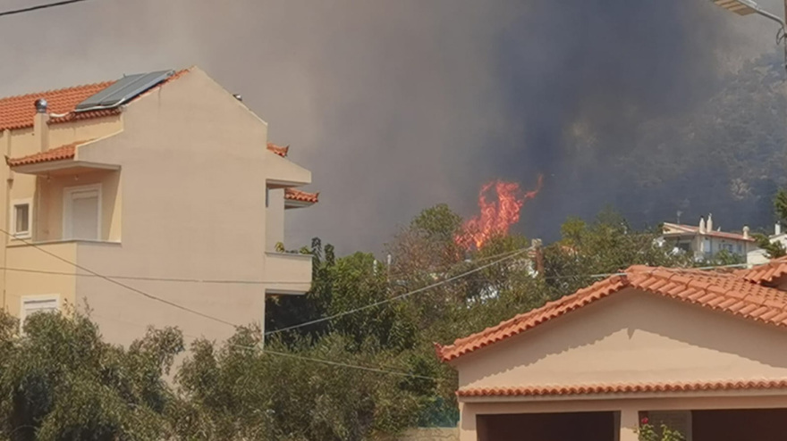 Φωτιά στη Φυλή: Μεγαλώνει το πύρινο μέτωπο - Νέο μήνυμα 112 για Άνω Λιόσια, Γεννηματά και Κανάλα