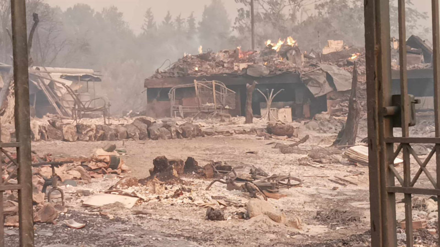 Φωτιά στη Φυλή: Στάχτη το δάσος - Δείτε το αποκαρδιωτικό βίντεο