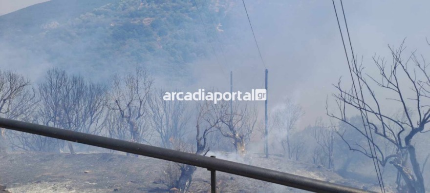 Φωτιά στην Αγία Σοφία Αρκαδίας - Στα σπίτια οι φλόγες - Βίντεο και φωτογραφίες
