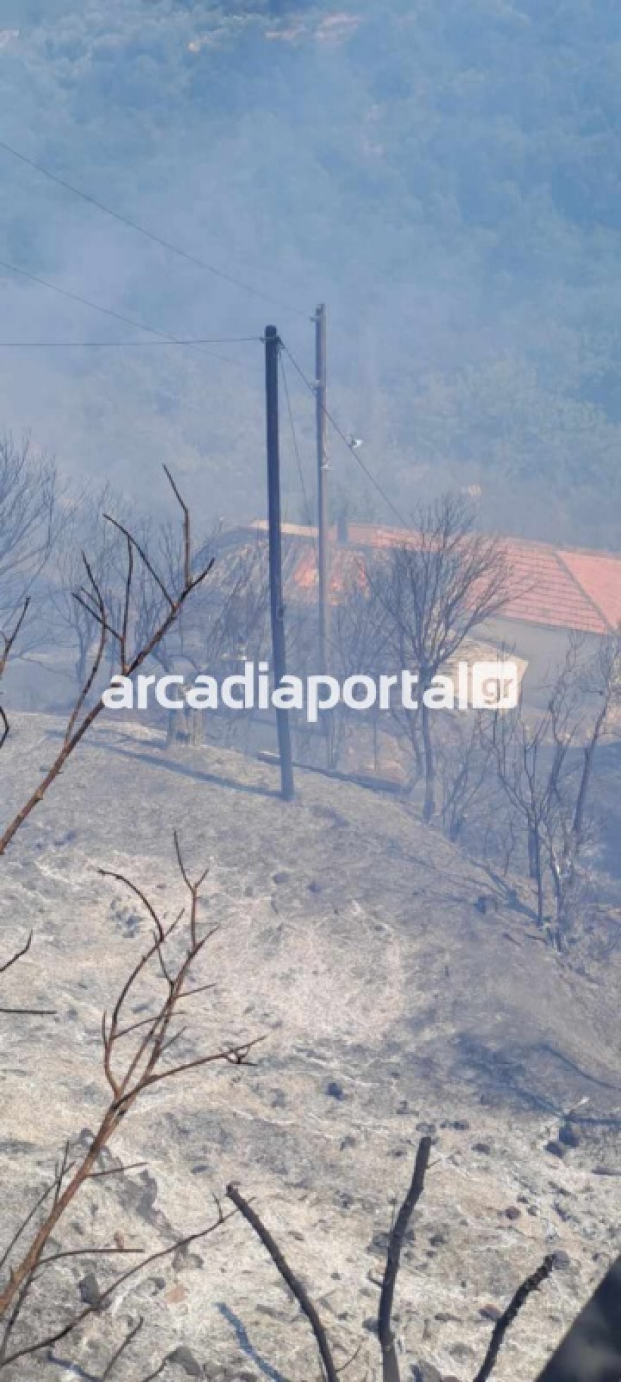 Φωτιά στην Αγία Σοφία Αρκαδίας - Στα σπίτια οι φλόγες - Βίντεο και φωτογραφίες