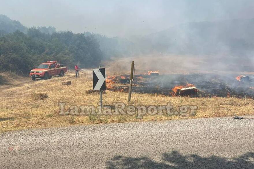 Φωτιά στη Φθιώτιδα: Πυρκαγιά στη Μακρακώμη σε αγροτοδασική έκταση - Δείτε βίντεο