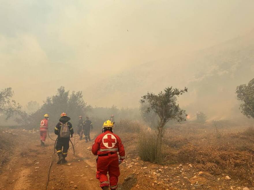 Φωτιά στην Βοιωτία: «Η κατάσταση παραμένει εφιαλτική» - Ξεπερνά τα 10 χιλιόμετρα το πύρινο μέτωπο
