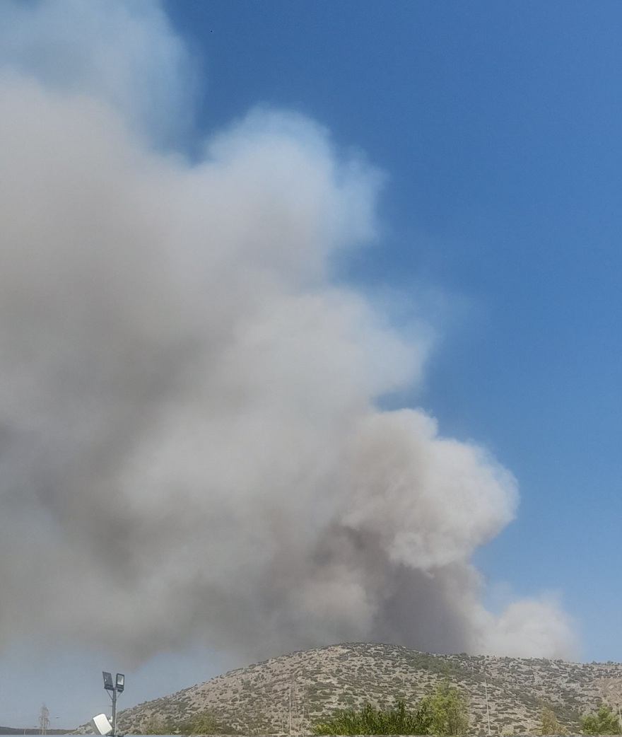 Πυρκαγιές: Ανεβαίνει προς την Πάρνηθα η φωτιά που ξέσπασε στη Φυλή - Κάηκαν σπίτια κι αυτοκίνητα στη Χασιά