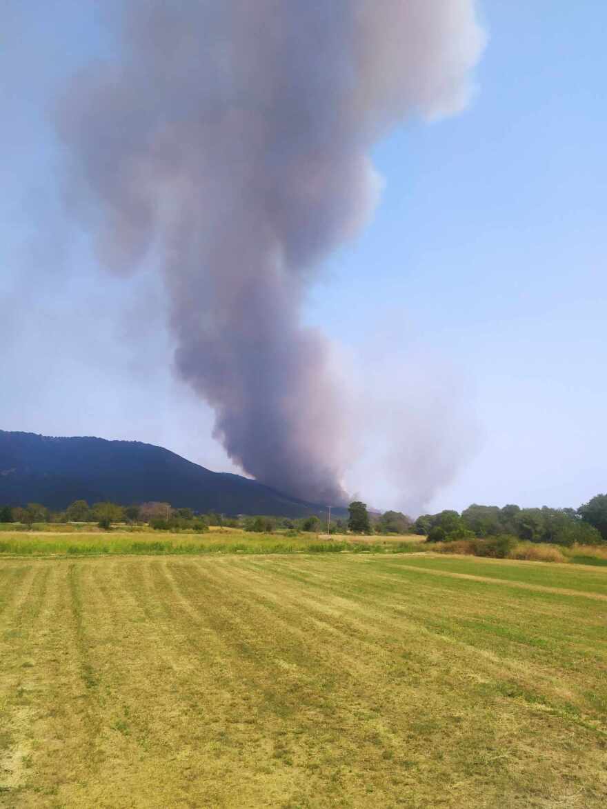 Φωτιά στη Φθιώτιδα: Πυρκαγιά στη Μακρακώμη σε αγροτοδασική έκταση - Δείτε βίντεο