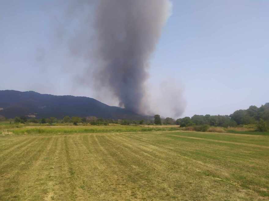 Φωτιά στη Φθιώτιδα: Πυρκαγιά στη Μακρακώμη σε αγροτοδασική έκταση - Δείτε βίντεο