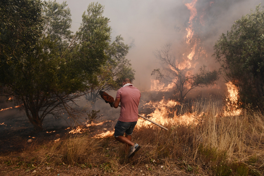 Πυρκαγιές: Ανεβαίνει προς την Πάρνηθα η φωτιά που ξέσπασε στη Φυλή - Κάηκαν σπίτια κι αυτοκίνητα στη Χασιά
